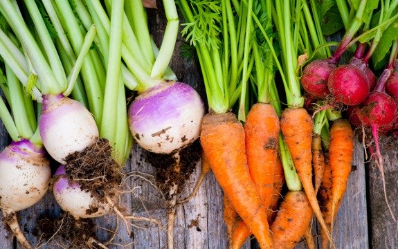 7 Health-Boosting Root Vegetables to Add to Your Diet TODAY