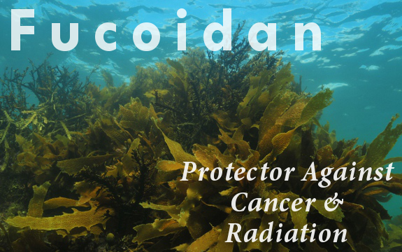 100’s of Studies Prove this One Plant Compound Kills Cancer, Protects Against Radiation