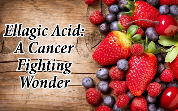 Ellagic Acid: A Cervical, Breast & Prostate Cancer Fighting Wonder