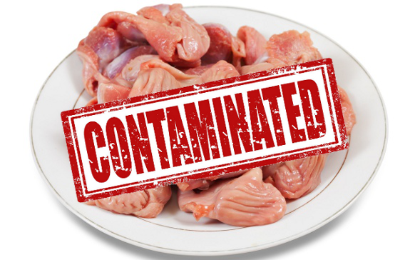 contaminated chicken