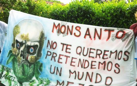 Anti-Monsanto Protests Spark in Argentina by Pesticide Illness and Death