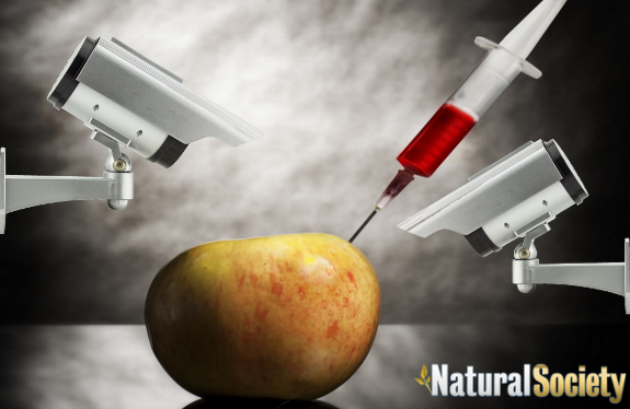 True GMO Science and Dangers You’ll Never Hear About from the Media