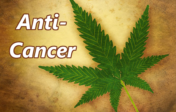 Cannabinoids (Marijuana Compounds) Lead to Leukemia Cancer Cell Destruction