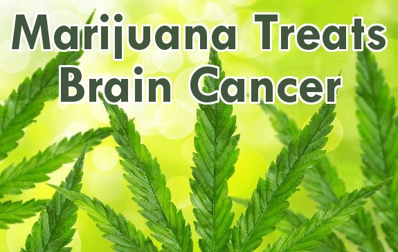 4 Studies Proving that Marijuana can Treat Brain Cancer