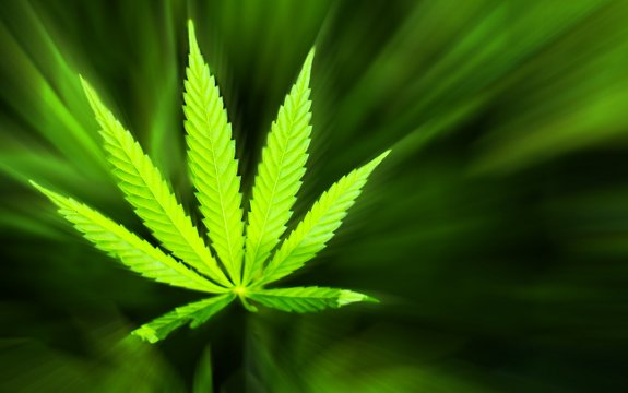 Marijuana Compounds Found to ‘Protect Nervous System’ Against MS