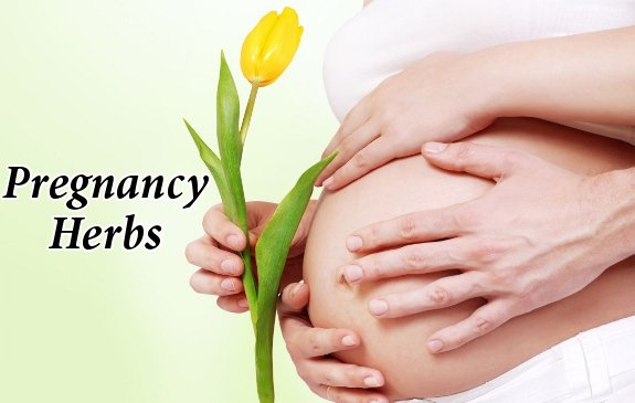 Inducing Labor Naturally: Herbs to Successfully Support Child Birth