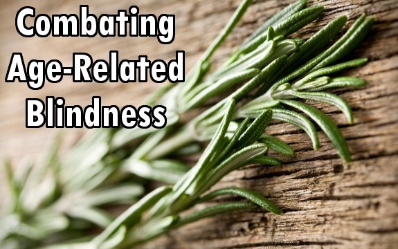 Rosemary Herb Could Combat Age-Related Blindness