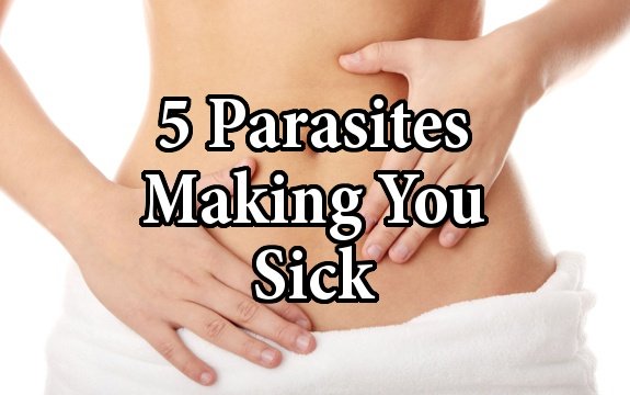 stomach parasites