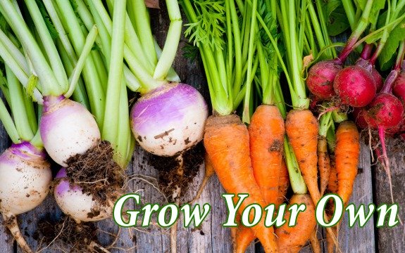 grow vegetables