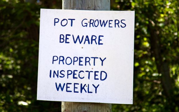 pot grower