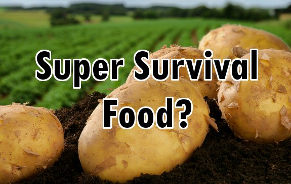 How Potatoes can Help you Survive Food Shortages and Boost Your Health