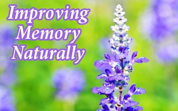Improving Memory Naturally: Sage Contains Similar Compounds as Modern Alzheimer’s Drugs