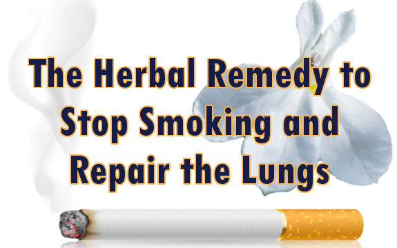 The Herbal Remedy to Kick the Smoking Habit & Repair the Lungs