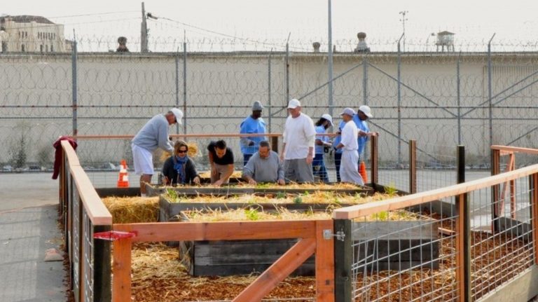 Prison Inmates Grow and Donate 163 Tons of Produce