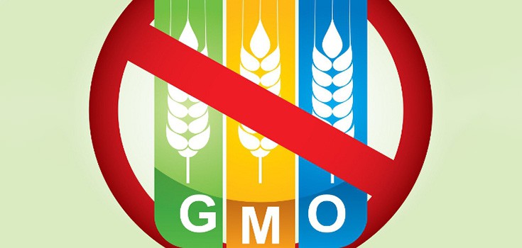 GMO Victory: Maine Second State to Enact GMO Labeling