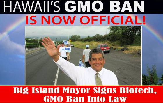 Hawaii Bans GMO Biotech – Citizens Cheer in Excitement