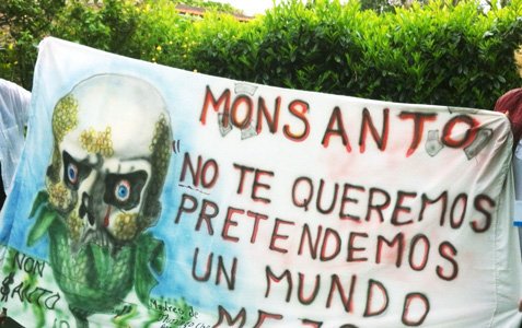 Activists Halt Monsanto Seed Plant Construction in Argentina