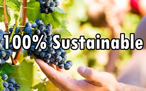 Winemakers Aim for First 100% Sustainable Vineyards in the World