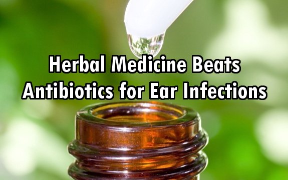 Herbal Remedies Superior to Antibiotics for Ear Infections