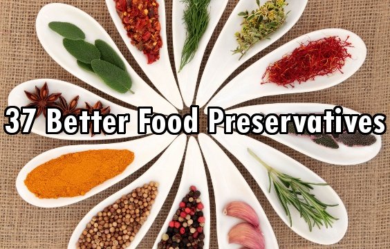 37 Better Food Preservatives & AntiMicrobials than the Chemical Crap ‘they’ Put in Your Food