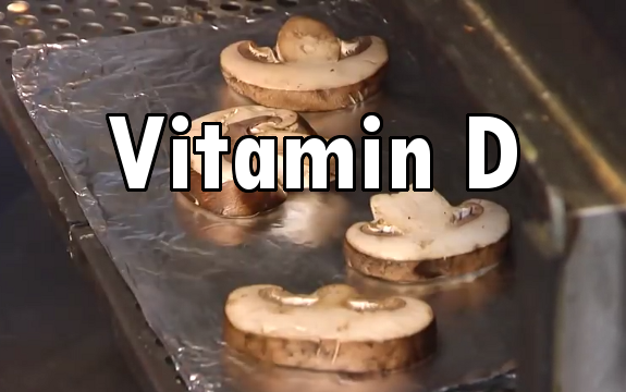 UV-Ray-Hit Mushrooms Provide More Vitamin D than Supplements, Researchers Find