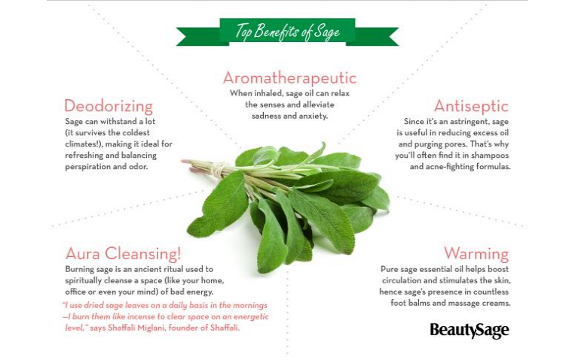Infographic: The Benefits of Sage – A Super Healing Herb