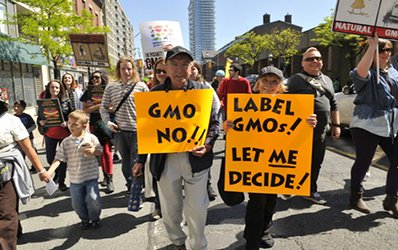The Next GMO Battlegrounds: New York State & Maryland