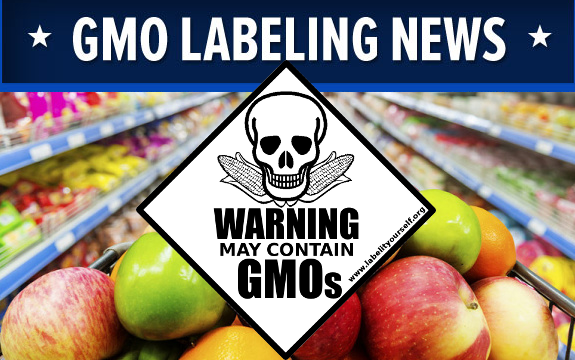 Voluntary Instead of Mandated GMO Food Labeling: The Industry’s Latest Ploy
