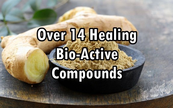 Ginger: Over 14 Bio-Active Compounds to Fight Numerous Diseases, Including Cancer