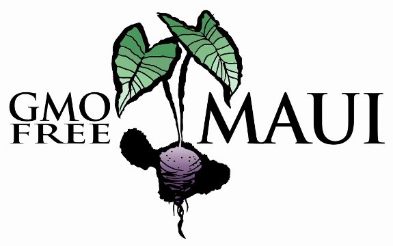 Maui Could Be Next Hawaiian Island to Ban GMOs