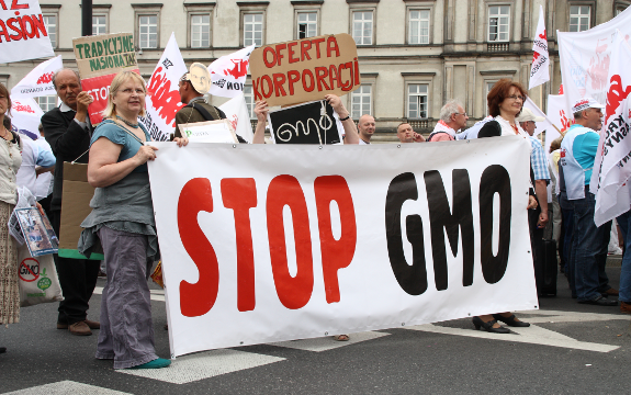 Huge Success: Monsanto GMO Plant in Argentina Halted by Activists