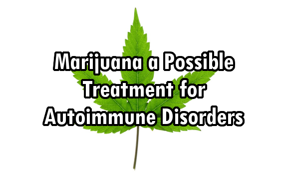 Marijuana a Possible Treatment for AutoImmune Disorders like MS, Arthritis, and Type 1 Diabetes