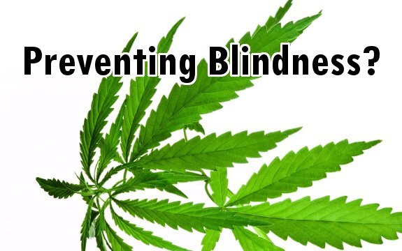 New Study: Marijuana Compound Found to Prevent Blindness