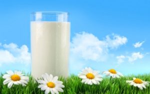 milk
