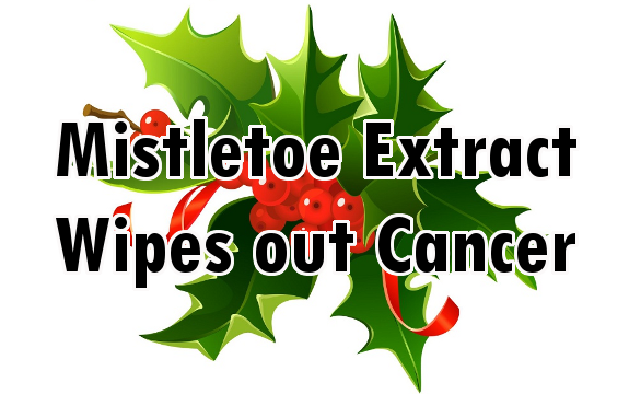 2 Real Life Examples of Mistletoe Wiping out Cancer