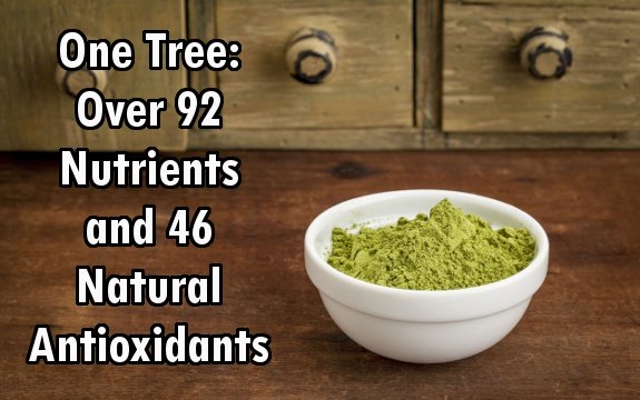 One Tree: Over 92 Nutrients and 46 Natural Antioxidants