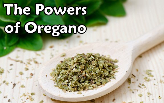 5 Compounds that Make Oregano a Nutritional Powerhouse