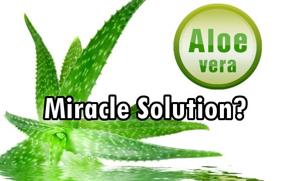 Did You Know Aloe Vera Offers Miracle Solutions for Serious Diseases?