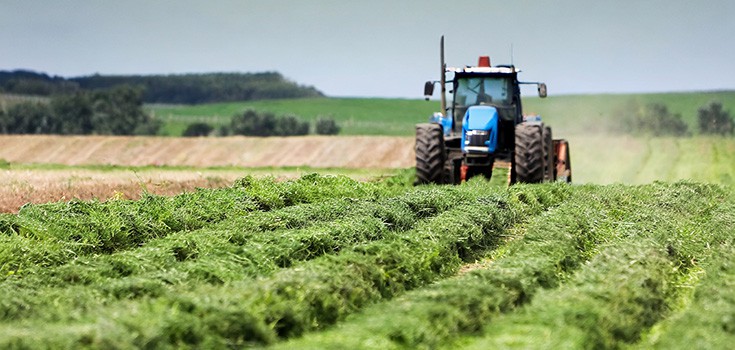 Huge: New Lawsuit Filed Against USDA over Missing Docs Showing GMO Dangers