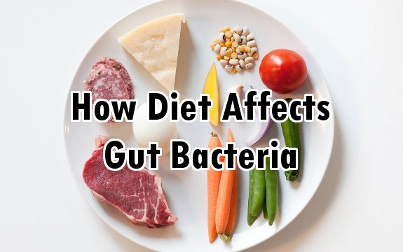 food gut bacteria