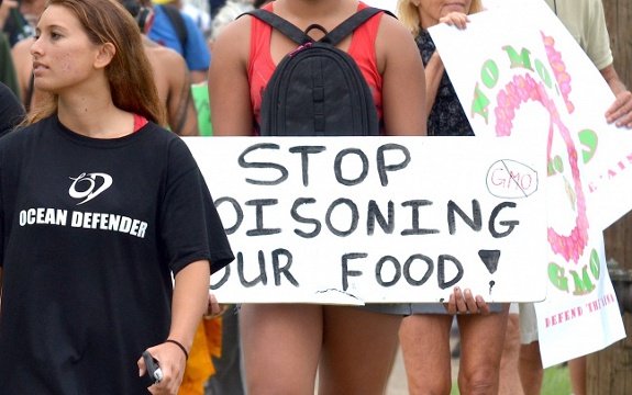 The Hawaiian Upheaval – Maui Citizen Activists go Against GMO