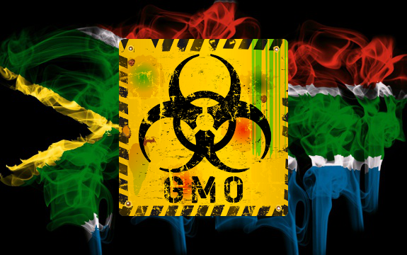 Next Target: GMO Biotech Descends on African Countries