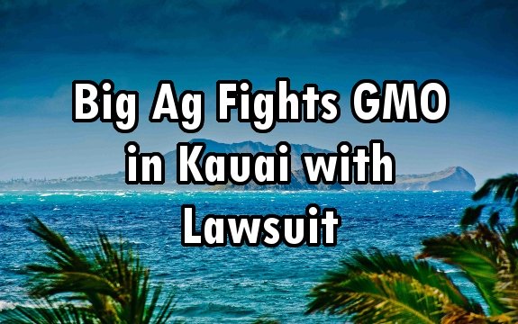 Big Ag Fights Kauai’s GMO Ban in Federal Lawsuit