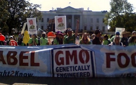 Monsanto Threatens to Sue over GMO Labeling in Vermont