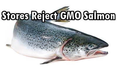 Major Grocery Stores Announce Refusal of GMO Salmon, Despite FDA Ruling it ‘Safe’