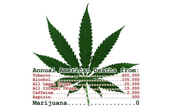 marijuana deaths