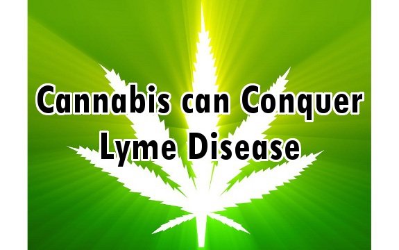 marijuana lyme disease