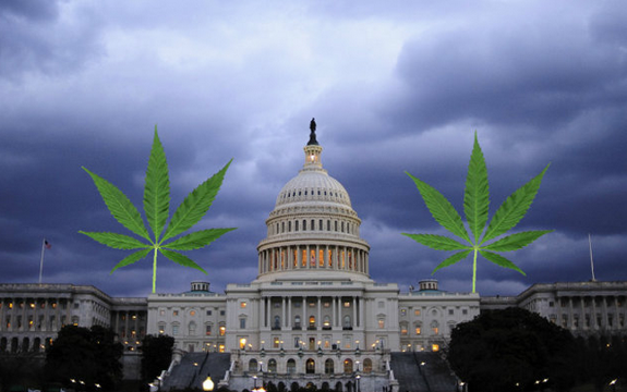 Washington D.C. marijuana