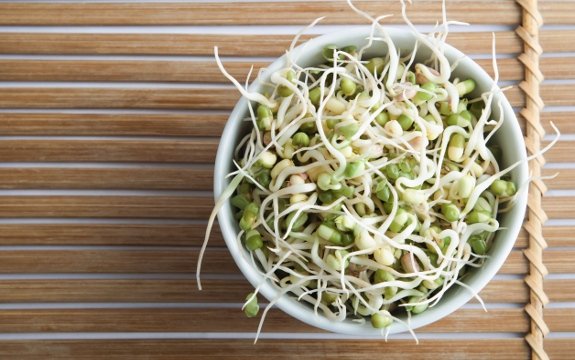 Mung Bean Sprouts can Drastically Reduce Cancerous Tumors