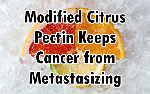 Modified Citrus Pectin (MCP) Keeps Cancer from Metastasizing